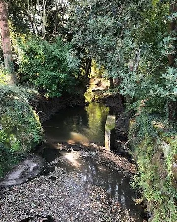 Du Moulin De La Virvee Saint-André-de-Cubzac