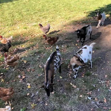 Du Moulin De La Virvee