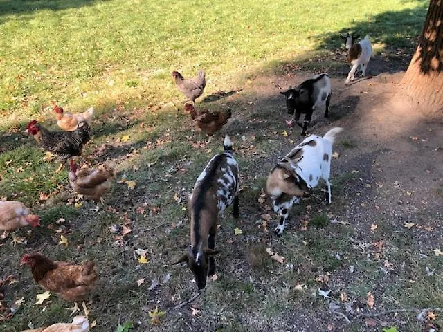 Du Moulin De La Virvee